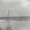 Nags Head 06