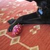 Zoe Toys