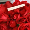 Bridal Flowers 