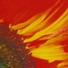 Sunflower 1