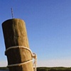 Michigan pilings