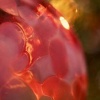 Handblown Glass Ball