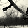 raindrop reflection