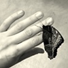 butterfly hand