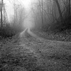 misty morning road