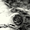 birch bark spiral