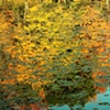 reflecting fall I