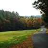 road through nature
