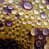 abstract