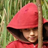 noah