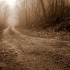misty morning road (sepia tone)