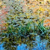 colorful reflections