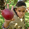 jonah with apple