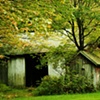 barn and shed