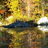 beaver home in fall
