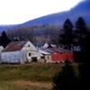 white barn