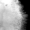 ice fringe