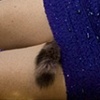 America's Sweetheart
(Oh, NO.. A coon crawled up my pussy!)