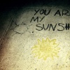 You Are My Sunshine