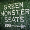 Green Monster Seats