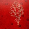 Scintilla