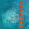 Whorl