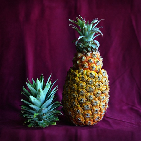 Pineapples