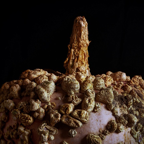 Amish Gourd