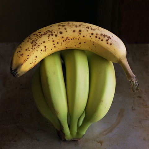 Bananas