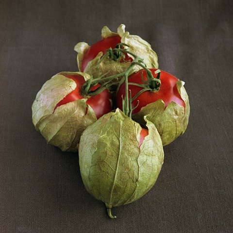 Tomatos / Tomatillos