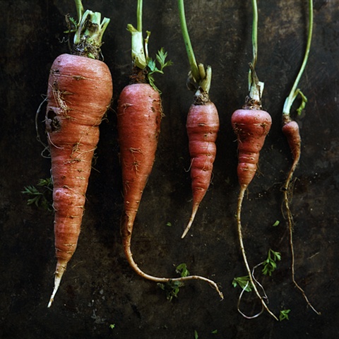 Carrots