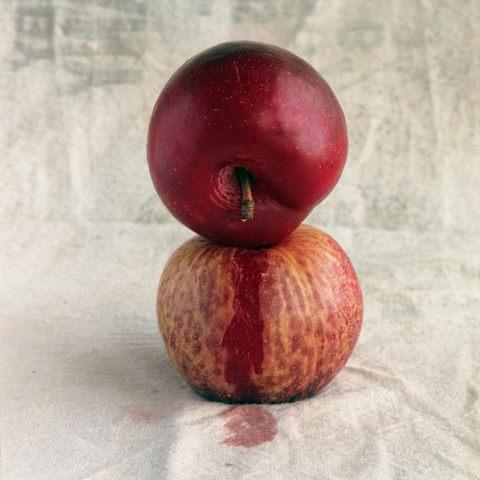 Plum and Pluot