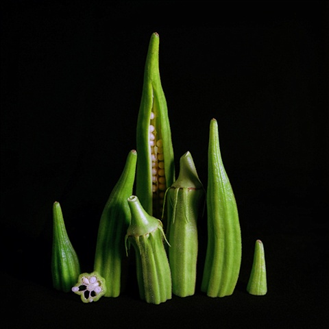 Okra