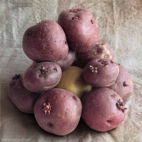 Potatoes and Kiwi