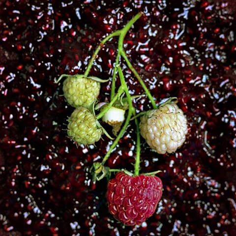 Raspberries
