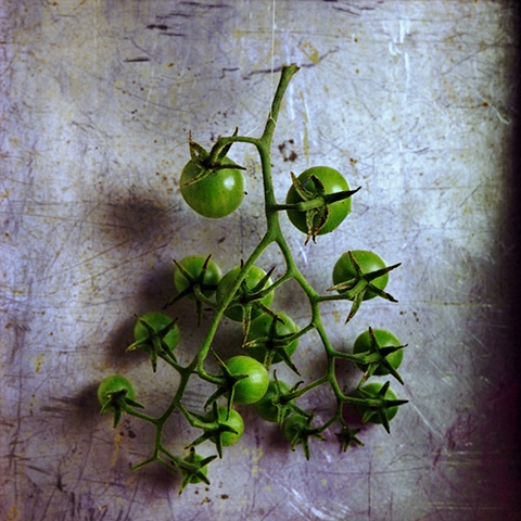 Green Tomatoes