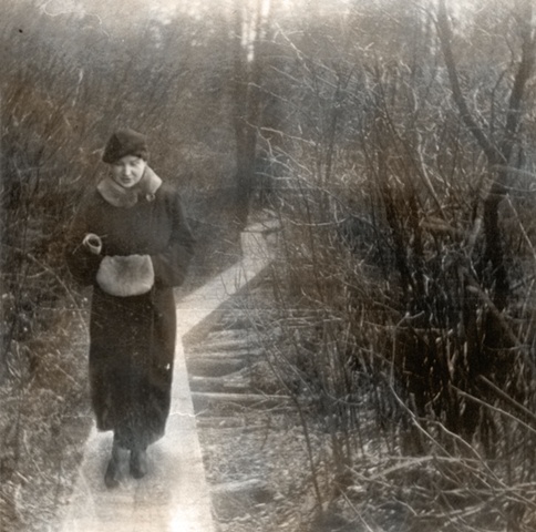 Bog Walk