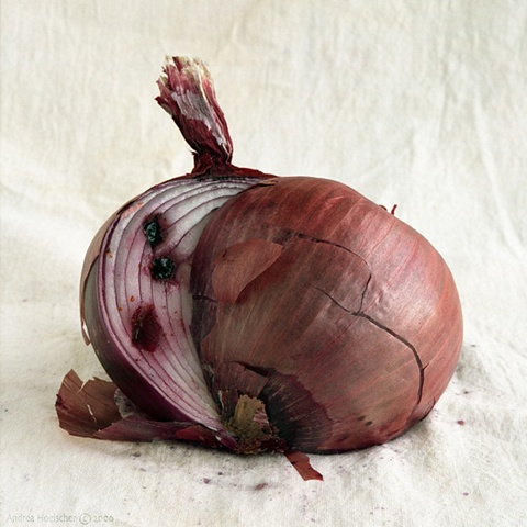 Onion