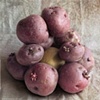 Potatoes and Kiwi