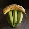 Bananas