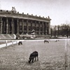 The Lustgarten