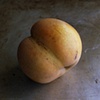 Asian Pear