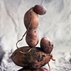 Potato Tower