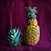 Pineapples