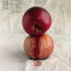 Plum and Pluot