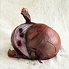 Onion