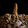 Amish Gourd
