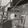 Pedestrian