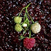 Raspberries