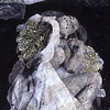 Shedding Skin